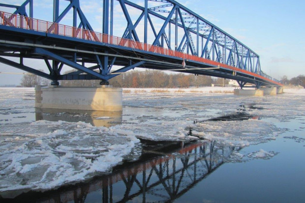 W styczniu Główny Inspektorat Ochrony Środowiska przeprowadził monitoring fitoplanktonu w Odrze i w Wiśle  (fot. shutterstock)