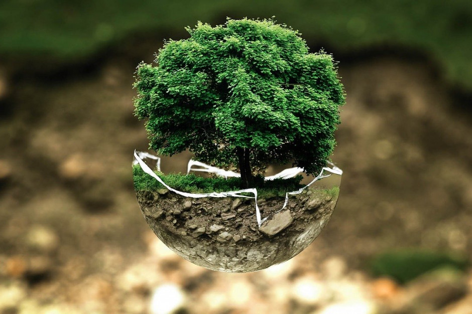 Program LIFE daje możliwość przetestowania innowacyjnych rozwiązań z zakresie ochrony środowiska (Fot. pixabay)
