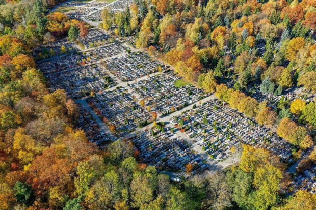 Gorzowski cmentarz komunalny przy ul. Żwirowej ma ok. 32 ha (fot. UMGW)