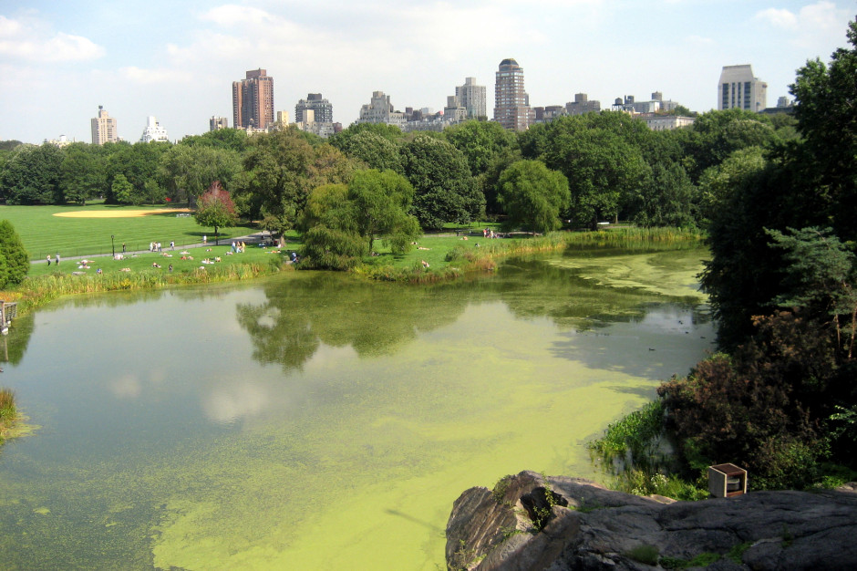 Central Park w Nowym Jorku otworzy laboratorium badania zmian klimatu