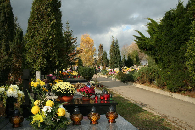 Cmentarz Prądnik Czerwony ma być poszerzany w 2023 r. (fot. Wikipedia/Iwona Grabska/CC BY-SA 3.0)
