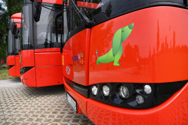 Środki NFOŚiGW sfinansują koszty zakupu ekoautobusów (fot. PAP/Darek Delmanowicz)