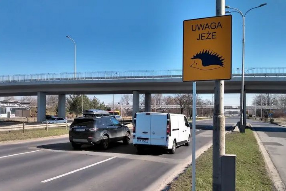 Kierowcy w okolicy znaku - Uwaga Jeże - proszeni są o ostrożną jazdę (fot. Michał Kurowicki / www.wroclaw.pl)