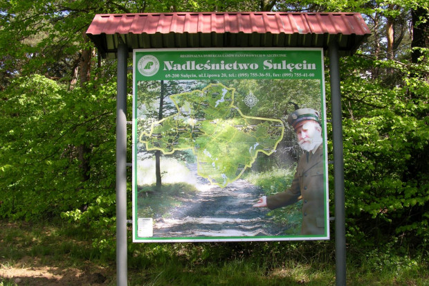 Nowoczesny biurowiec powstał na skraju lasu na obrzeżach Sulęcina (fot. sulecin.szczecin.lasy.gov.pl)