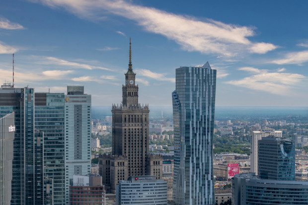 Warszawa zagrożona wścieklizną (fot. pixabay)
