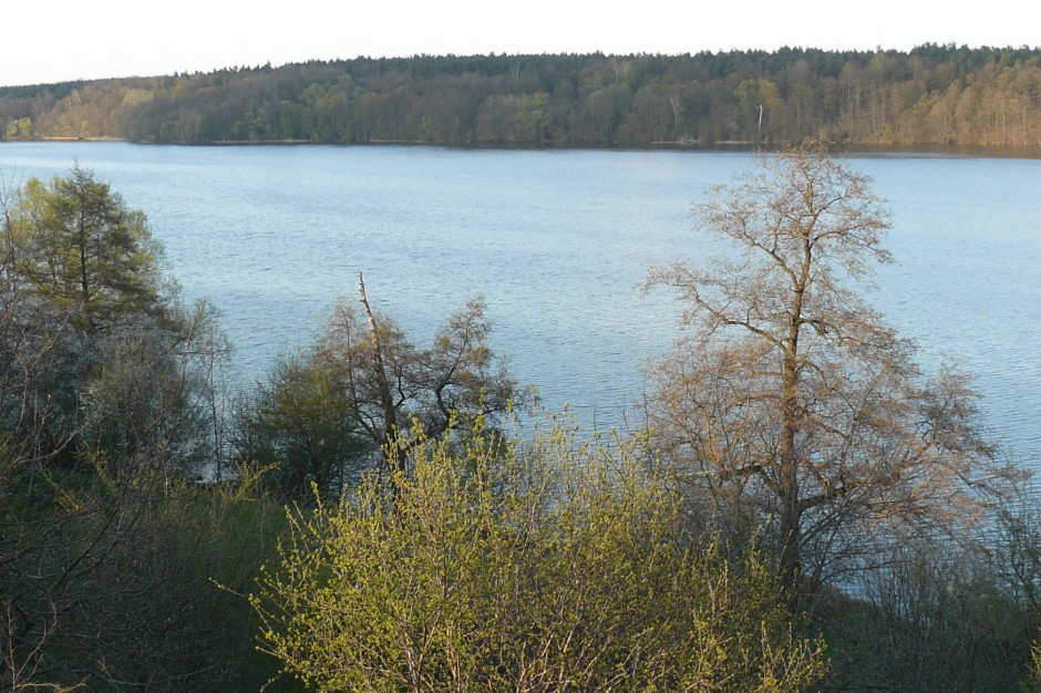 Jezioro Kierskie od lat jest zanieczyszczane ściekami (fot. MOs810, CC BY-SA 3.0/ Wikipedia)