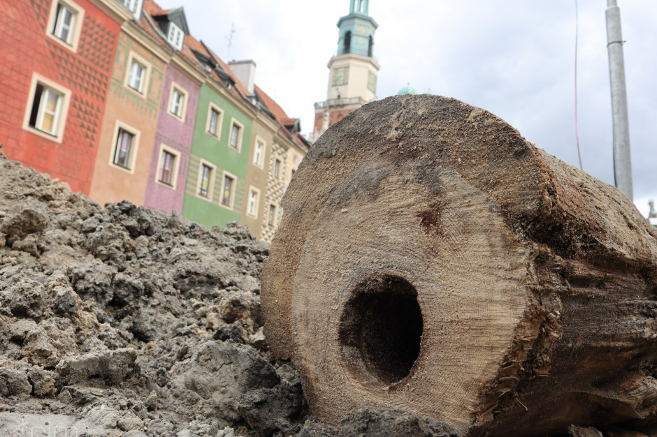 Na placu budowy, pod płytą Starego Rynku w Poznaniu, znaleziono drewniane rury wodociągowe sprzed ok. 400 lat (fot. PIM) Na placu budowy, pod płytą Starego Rynku w Poznaniu, znaleziono drewniane rury wodociągowe sprzed ok. 400 lat (fot. PIM)