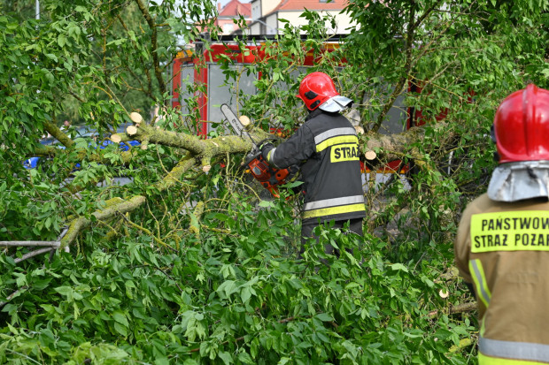 554 razy interweniowali strażacy po wtorkowych burzach (Fot. PAP/Marcin Bielecki)