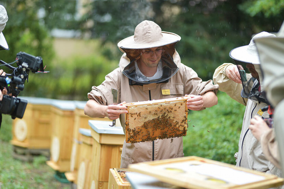 Na Uniwersytecie Przyrodniczym otwarto pszczelą Europejską Pasiekę Miejską (fot. upwr.edu.pl)