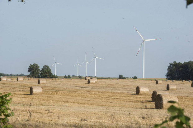 Władze Lubelszczyzny chcą czerpać energię z wiatru (fot.margonin.pl/zdjęcie ilustracyjne)