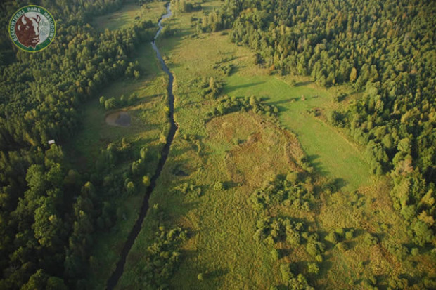 O powiększenie Białowieskiego Parku Narodowego dopominał się cały świat, a mimo to wciąż do tego nie doszło. (Fot. bpn.com.pl - Mateusz Szymura)