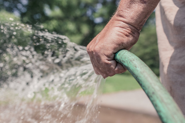 Podlewanie ogródków wodą z sieci w czasie suszy jest niewskazane (Fot. pixabay.com)