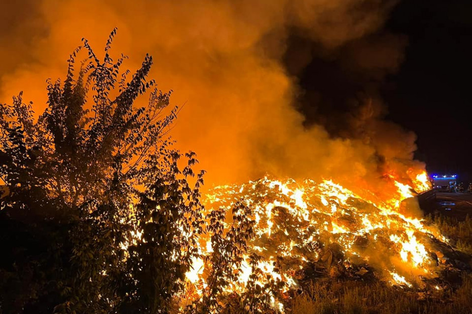 W kulminacyjnym punkcie akcji z ogniem walczyło 46 jednostek straży, czyli około 150 ratowników (fot. OSP Leszno-Gronowo) W kulminacyjnym punkcie akcji z ogniem walczyło 46 jednostek straży, czyli około 150 ratowników (fot. OSP Leszno-Gronowo)