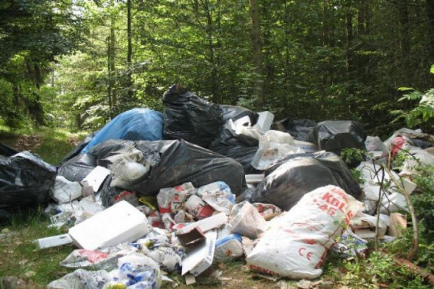 jedna z poprawek umożliwia Marszałkowi Województwa natychmiastowe wykreślenie z rejestru Bazy Danych Odpadowych (BDO) ( fot. arch.)