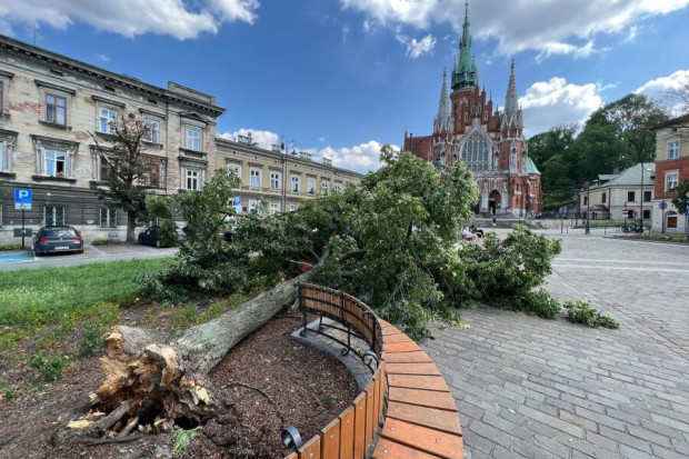 W sobotniej burzy w Krakowie ucierpiały nawet wieloletnie drzewa (Fot. Bogusław Świerzowski/ krakow.pl)