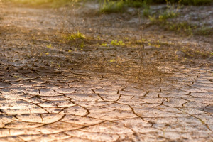 Zjawisko suszy nasila się od lat (fot. pixabay)