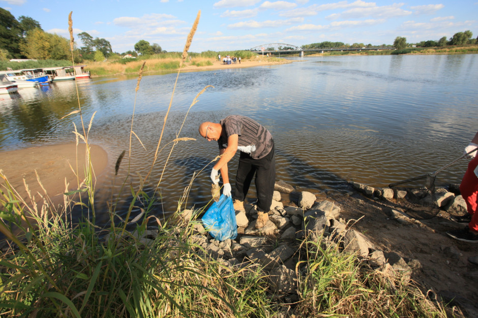 Mieszkańcy wsi Cigacice zbierają śnięte ryby w rzece Odrze (fot. PAP/Lech Muszyński)
