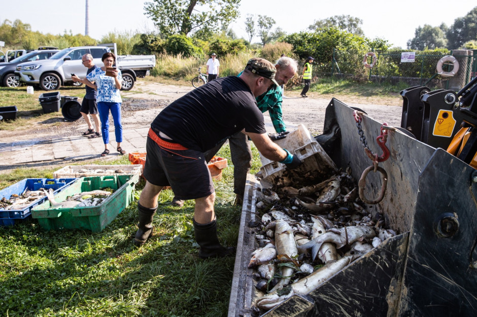 Wędkarze obawiają się, że niebawem może wypłynąć kolejna fala śniętych ryb (Fot. PAP/Jerzy Muszyński)