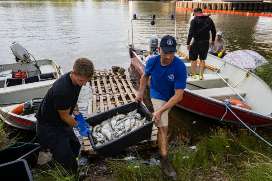 Śnięte ryby w Odrze (fot.umwz)