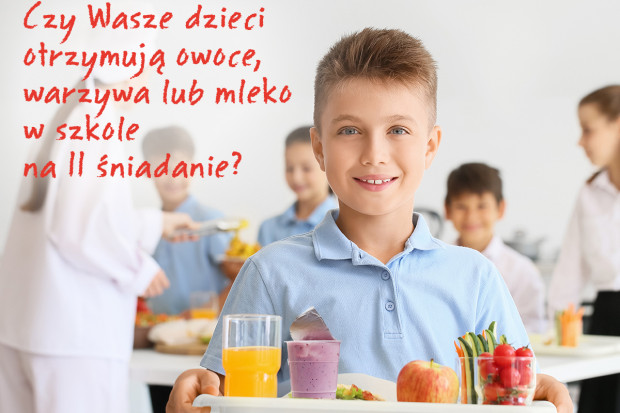 Ruszają dostawy owoców i warzyw oraz mleka dla uczniów w podstawówkach w ramach "Programu dla szkół" (fot. programdlaszkol.org)
