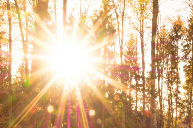 Do rekordu ciepła zabrakło niewiele. Najcieplej było w Jeleniej Górze (fot. pixabay)