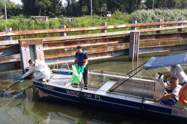 W akcję wyławiana śniętych ryb z Odry zaangażowano wiele służb m.in. strażaków (Fot. gov.pl/KM PSP we Wrocławiu)