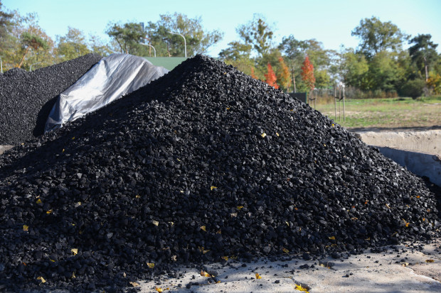 Od stycznia br. do końca sezonu grzewczego w polskich portach może zostać przeładowana rekordowa ilość 20 mln ton węgla (fot. PAP/Rafał Guz)