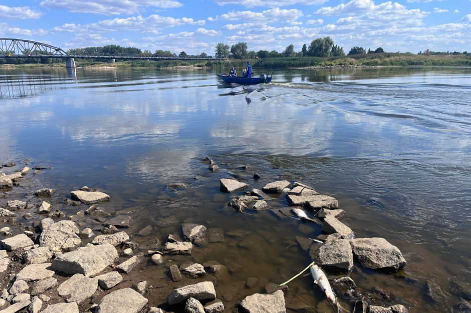 Wbrew powszechnej opinii to nie tylko przemysł zanieczyszcza rzekę, ale i gminy, wspólnoty mieszkaniowe i osiedla (fot. wody.gov.pl)