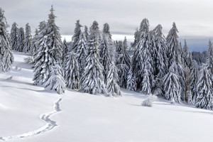Turyści muszą zachować ostrożność, ponieważ w wyższych partiach gór leży 15 cm śniegu (fot. pixabay)