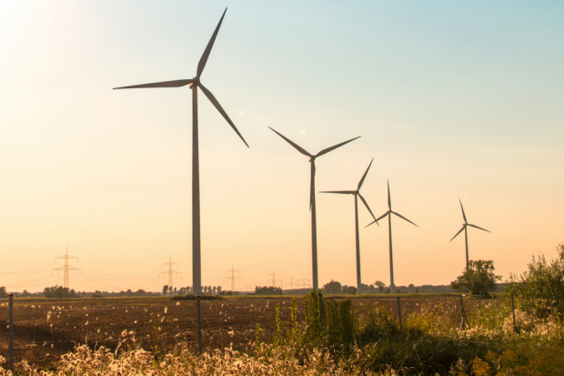 W czwartek poselski projekt noweli "ustawy wiatrakowej" złożyło PSL (fot. Shutterstock)