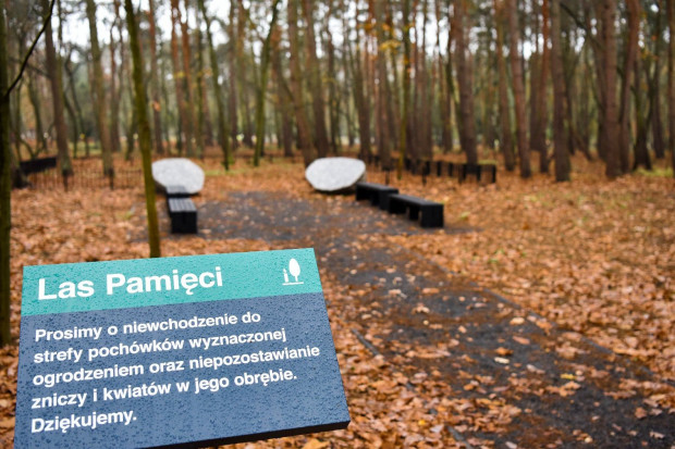 Las Pamięci ma spełniać definicję grobu (fot. poznan.pl)