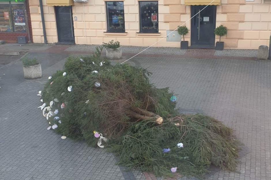 Burmistrz Leska opublikował w mediach społecznościowych zdjęcia powalonego drzewa (fot. facebook.com/Adam Snarski)