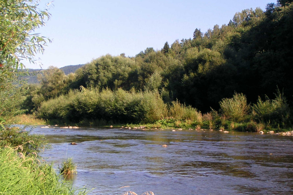 Nowe ujęcie wody z rzeki Skawy powstanie w Zatorze (fot.  Wuhazet-Henryk Żychowski - Praca własna, CC BY 3.0/ wikipedia)