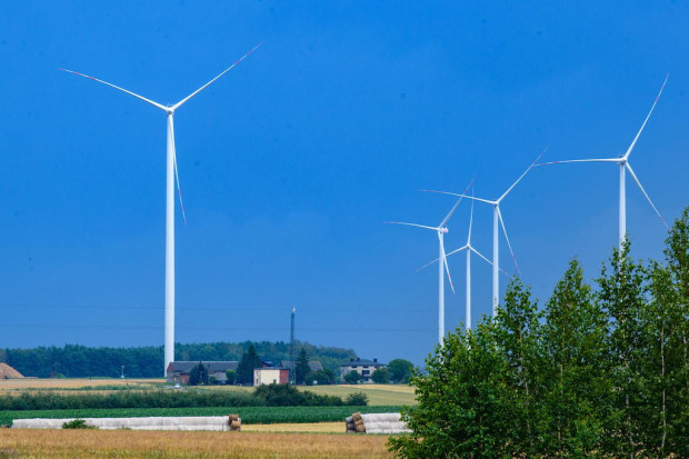 Turbiny wiatrowe w okolicach Moszczenicy (Fot. PAP/Grzegorz Michałowski)