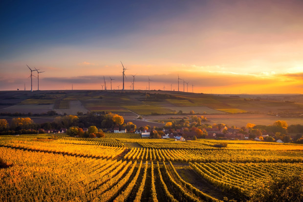 Rząd planuje programy wspierające rozwój OZE na terenach wiejskich i w rolnictwie. Chodzi o wsparcie dla rozwoju biogazowni, fotowoltaiki, magazynów energii i energii wiatrowej (fot. pixabay)