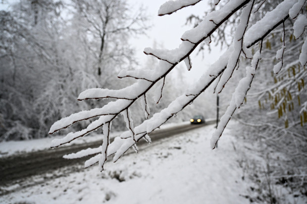 Najwięcej śniegu spadnie na południu i południowym wschodzie (fot. PAP/Darek Delmanowicz)