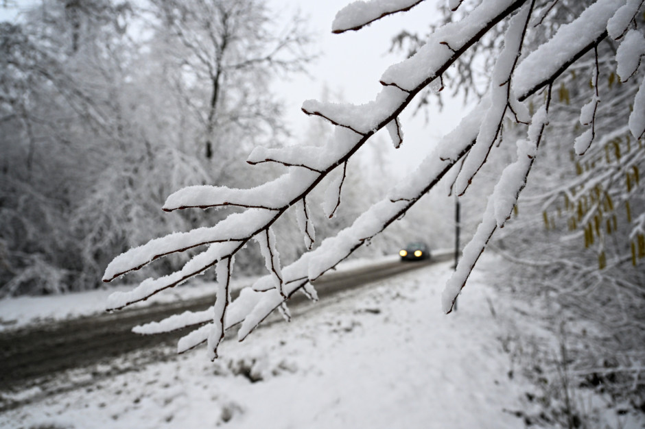 Najwięcej śniegu spadnie na południu i południowym wschodzie (fot. PAP/Darek Delmanowicz) Najwięcej śniegu spadnie na południu i południowym wschodzie (fot. PAP/Darek Delmanowicz)