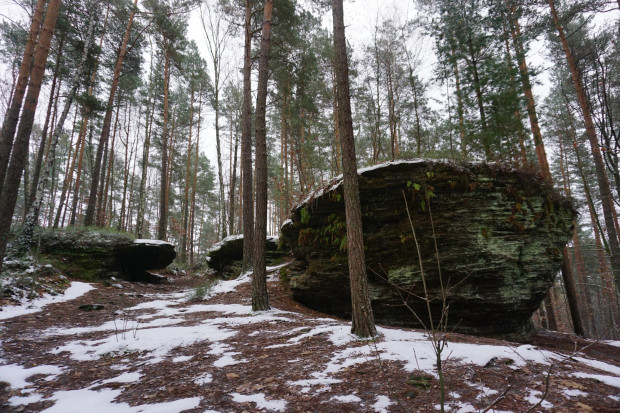 Zawiadomienie będzie złożone w związku z usunięciem części działek na Łyścu ze Świętokrzyskiego Parku Narodowego (Fot. Shutterstock.com)
