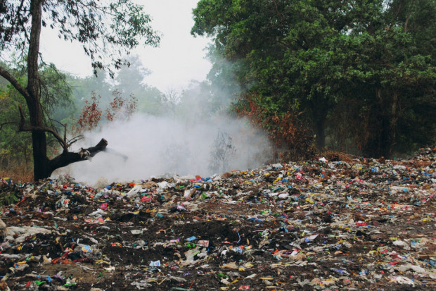 Wydział ma walczyć z nielegalnym składowaniem odpadów  (Fot. Pixabay)