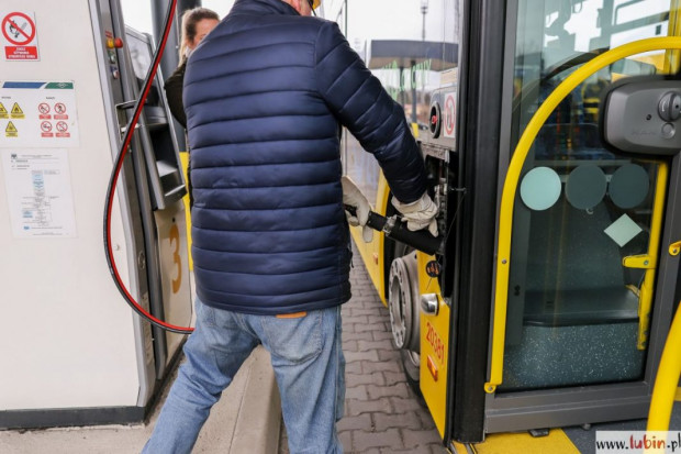 Wiele spółek miejskich postawiło na autobusy gazowe z uwagi na niższe koszty eksploatacji i ekologię. Ale sytuacja się zmieniła (Fot. lubin.pl)