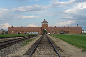 Sesja poświęcona muzealnym eksponatom w Muzeum Auschwitz