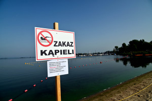 Po kryzysie, który wywołała ubiegłoroczna katastrofa ekologiczna na Odrze, eksperci organizacji wzięli pod lupę system zarządzania rzekami w Polsce (fot. PAP/Marcin Bielecki)