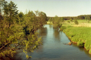 Rzeka Łupawa. (Fot. MariaGoliński/wikipedia/CC BY 2.5.)
