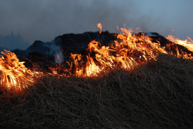Wypalanie przyczynia się do obniżenia rolniczej i ekologicznej wartości gruntów (fot. pixabay)