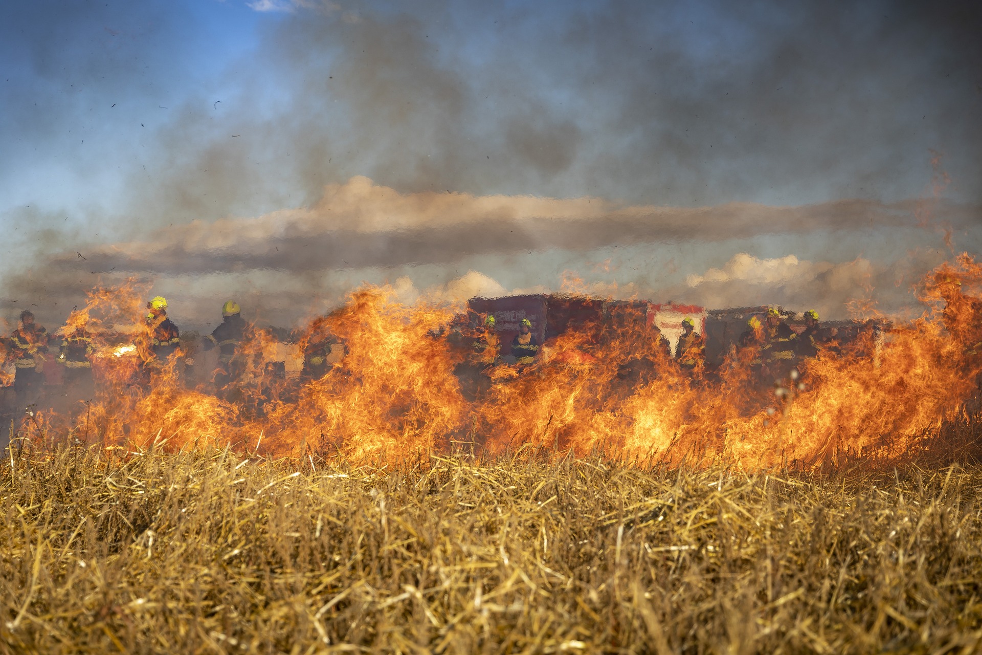 Wypalanie traw jest dodatkowym źródłem zanieczyszczeń wpływając na stan powietrza w skali lokalnej (fot. pixabay)