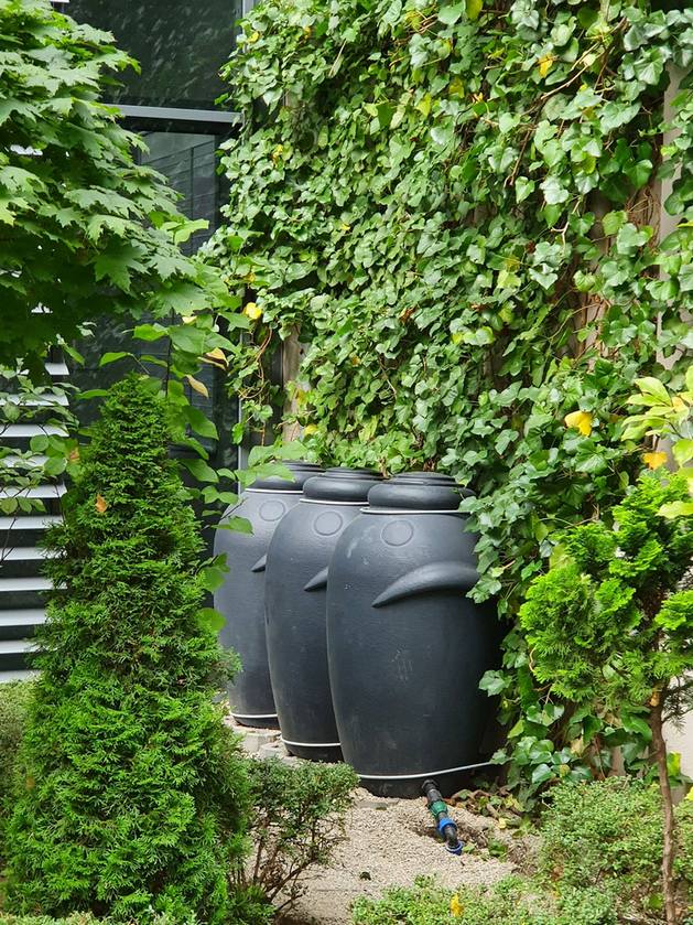 Dzięki programowi Złap Deszcz można otrzymać dofinansowanie do wykonania muld lub studni chłonnych, ogrodów deszczowych, dachów retencyjnych, czy podziemnych zbiorników na deszczówkę (fot. wroclaw.pl)