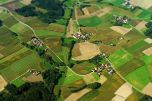 Już 1 czerwca wchodzą w życie przepisy dotyczące udzielania pomocy finansowej na zalesianie gruntów rolnych objętej planem rozwoju obszarów wiejskich (fot. shutterstock)
