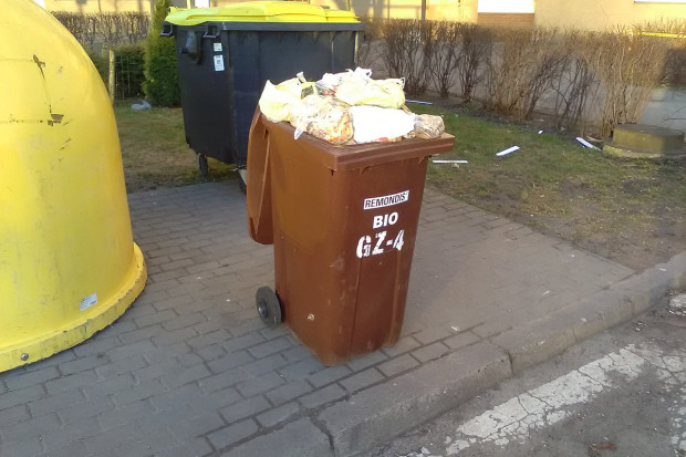 Rocznie na terenie Szczecina, wytwarzanych jest ok. 20 tys. ton odpadów biodegradowalnych (fot. Koefbac/Wikipedia)