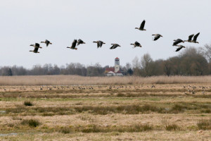 Na obszarach Natura 2000 jest już położonych 1,7 tys. z prawie 2,5 tys. gmin w Polsce (Fot. PAP/Lech Muszyński)