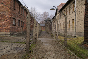 Radni Oświęcimia skrytykowali użycie symbolu Auschwitz w spocie PiS